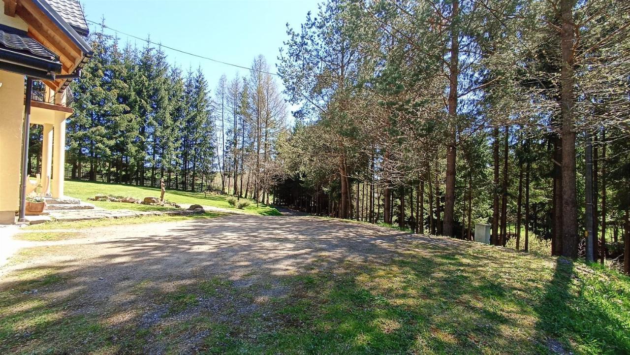 Zacisze Drwala Guest House Lutowiska Exterior photo