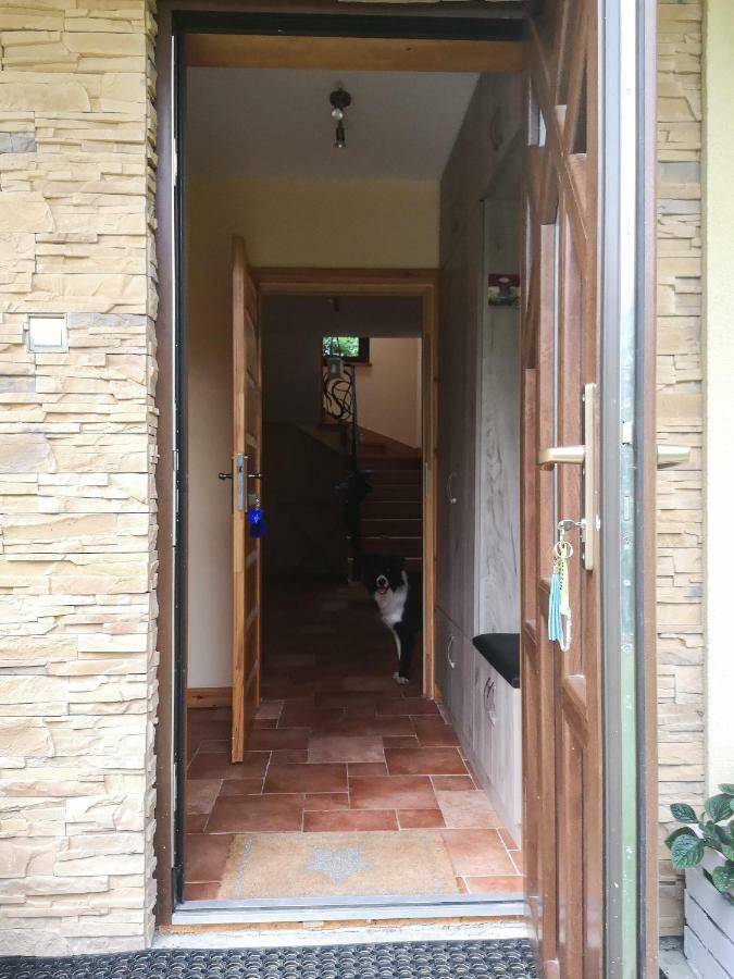 Zacisze Drwala Guest House Lutowiska Exterior photo