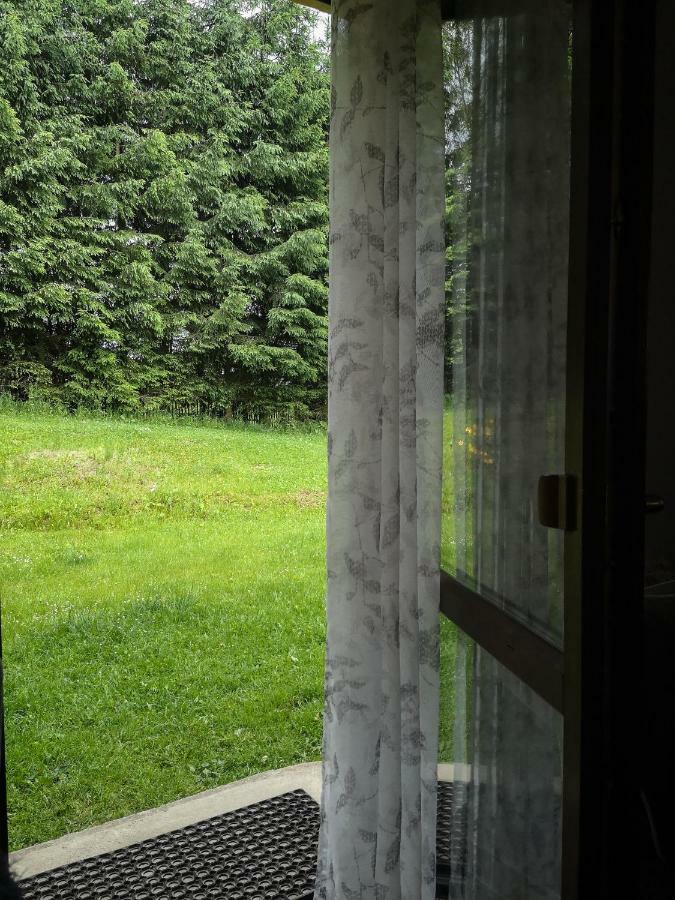 Zacisze Drwala Guest House Lutowiska Exterior photo